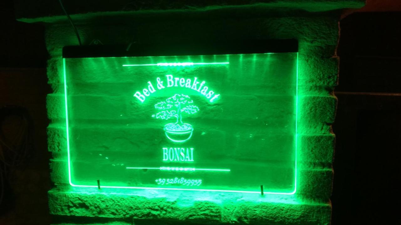 Bonsai Bed & Breakfast Fiumicino Oda fotoğraf